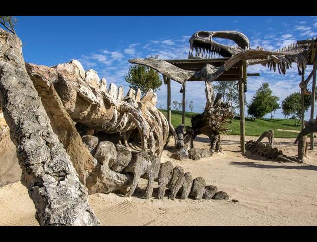 LAND FOR SALE IN STEYN CITY